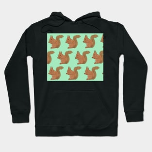 Amazing Red Squirrel Hoodie